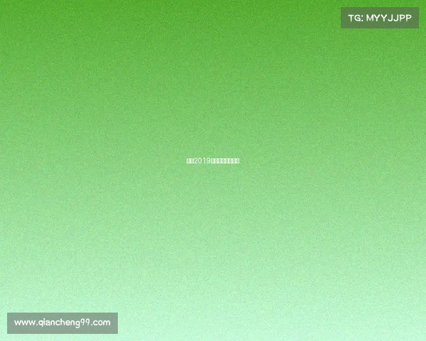 国安2019主场赛事荣耀征程